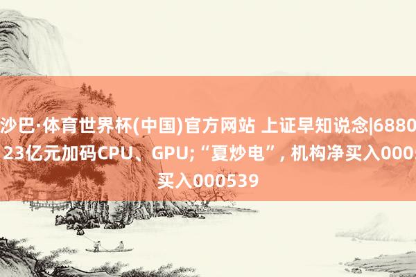 沙巴·体育世界杯(中国)官方网站 上证早知说念|688047, 23亿元加码CPU、GPU;“夏炒电”, 机构净买入000539