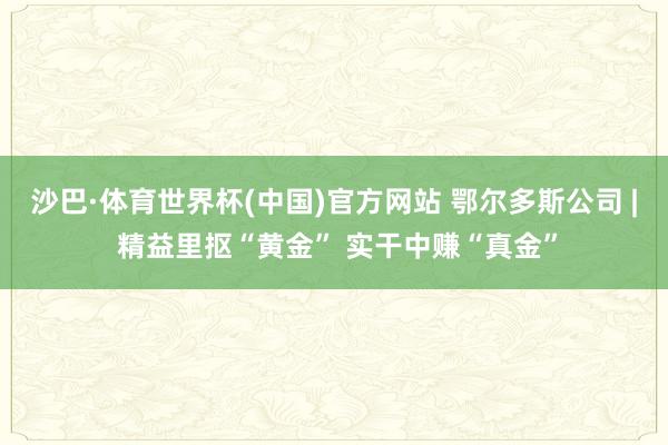 沙巴·体育世界杯(中国)官方网站 鄂尔多斯公司 | 精益里抠“黄金” 实干中赚“真金”
