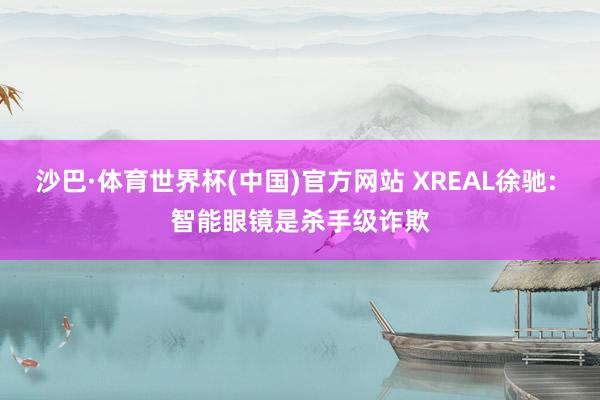 沙巴·体育世界杯(中国)官方网站 XREAL徐驰: 智能眼镜是杀手级诈欺