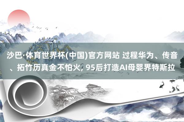 沙巴·体育世界杯(中国)官方网站 过程华为、传音、拓竹历真金不怕火, 95后打造AI母婴界特斯拉