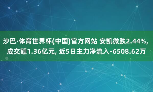 沙巴·体育世界杯(中国)官方网站 安凯微跌2.44%, 成交额1.36亿元, 近5日主力净流入-6508.62万