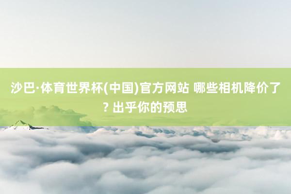 沙巴·体育世界杯(中国)官方网站 哪些相机降价了? 出乎你的预思