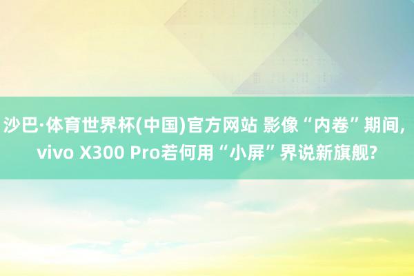 沙巴·体育世界杯(中国)官方网站 影像“内卷”期间, vivo X300 Pro若何用“小屏”界说新旗舰?