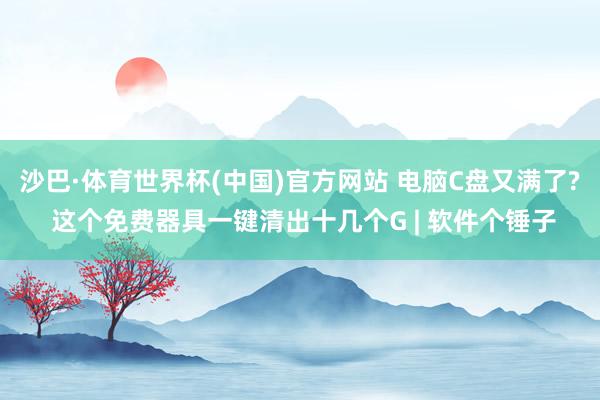 沙巴·体育世界杯(中国)官方网站 电脑C盘又满了? 这个免费器具一键清出十几个G | 软件个锤子