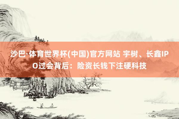沙巴·体育世界杯(中国)官方网站 宇树、长鑫IPO过会背后：险资长钱下注硬科技