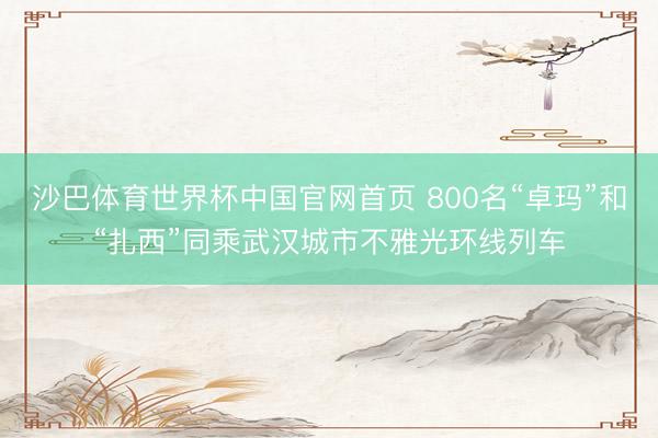 沙巴体育世界杯中国官网首页 800名“卓玛”和“扎西”同乘武汉城市不雅光环线列车