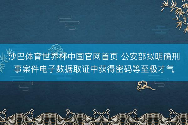 沙巴体育世界杯中国官网首页 公安部拟明确刑事案件电子数据取证中获得密码等至极才气