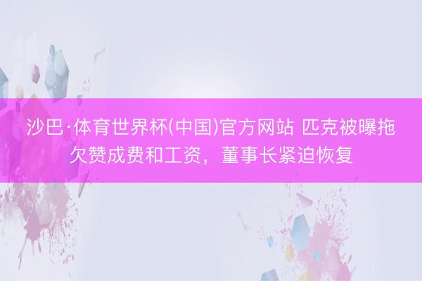沙巴·体育世界杯(中国)官方网站 匹克被曝拖欠赞成费和工资，董事长紧迫恢复