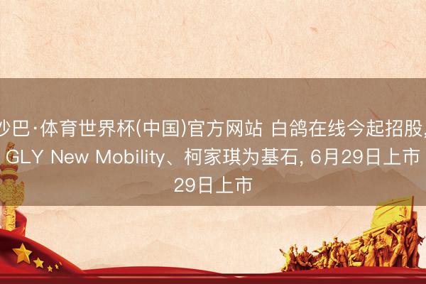 沙巴·体育世界杯(中国)官方网站 白鸽在线今起招股， GLY New Mobility、柯家琪为基石， 6月29日上市
