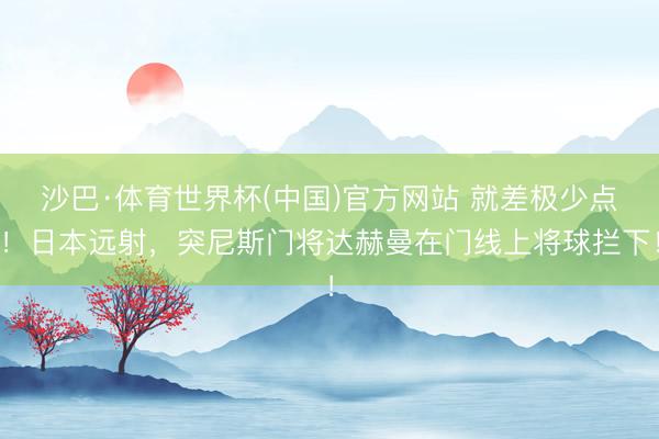 沙巴·体育世界杯(中国)官方网站 就差极少点！日本远射，突尼斯门将达赫曼在门线上将球拦下！
